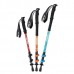 Палка треккинговая Naturehike ST01 6061 AL NH17D001-Z (3 узла) золотой/женские, 57-120 см Палка треккинговая Naturehike ST01 6061 AL NH17D001-Z (3 узла) золотой/женские, 57-120 см
